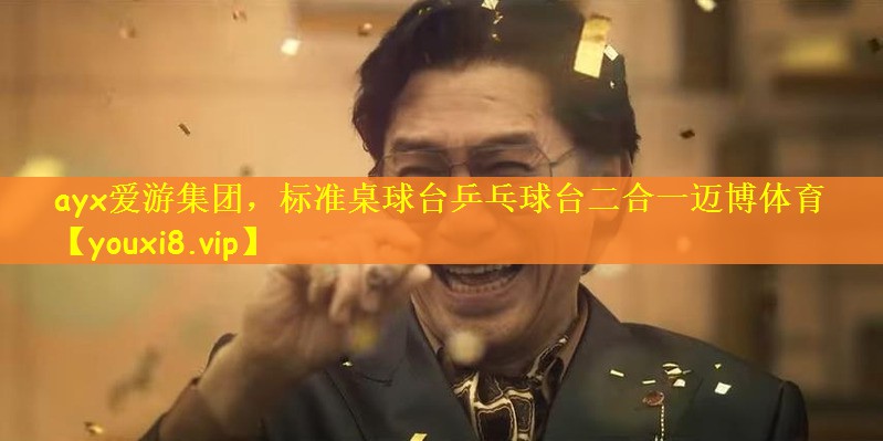 ayx爱游集团，标准桌球台乒乓球台二合一迈博体育