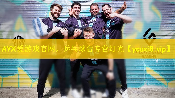 AYX爱游戏官网，乒乓球台专营灯光