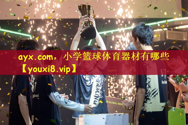 ayx.com，小学篮球体育器材有哪些