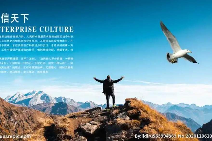 CBA赛季准备期：球队体能与阵容磨合进展